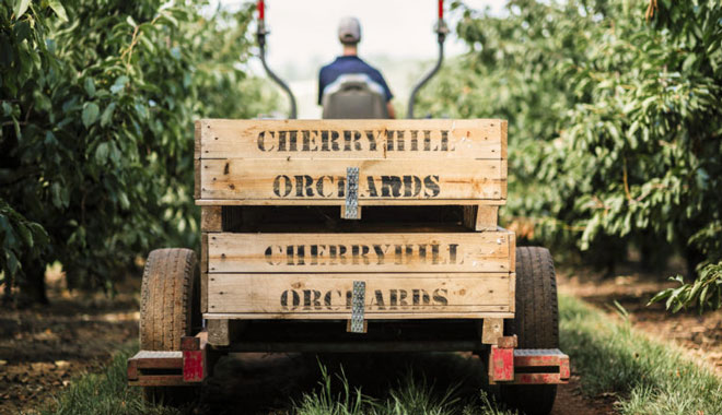 web cherry hill VIC 4 