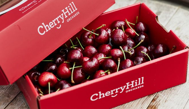 web cherry hill VIC 5 