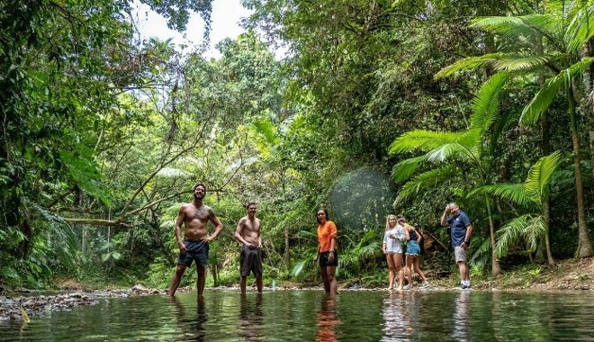 web daintree Freinds Cascades