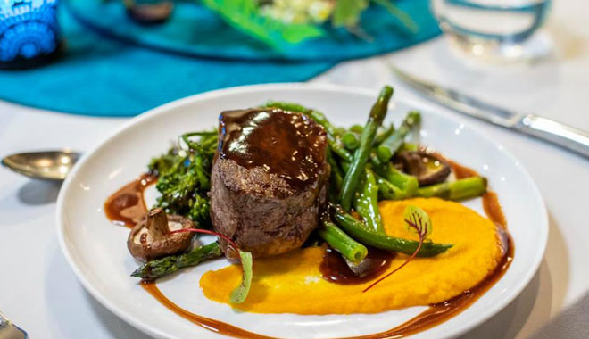 web reef suite Cruise whitsundays 2 