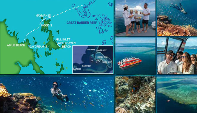 web wild cat whitsundays Reef