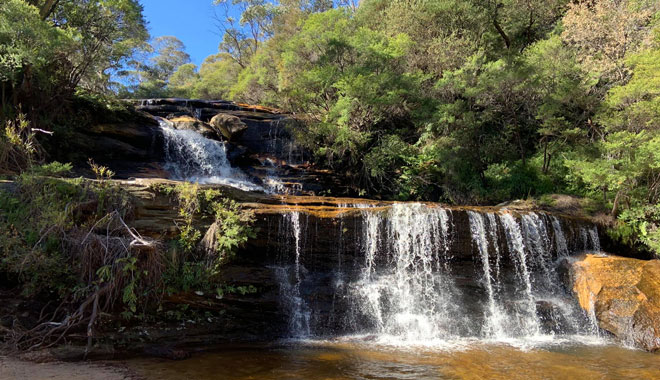 wentworth falls 0019