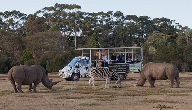 werribee open range zoo 11 jpg