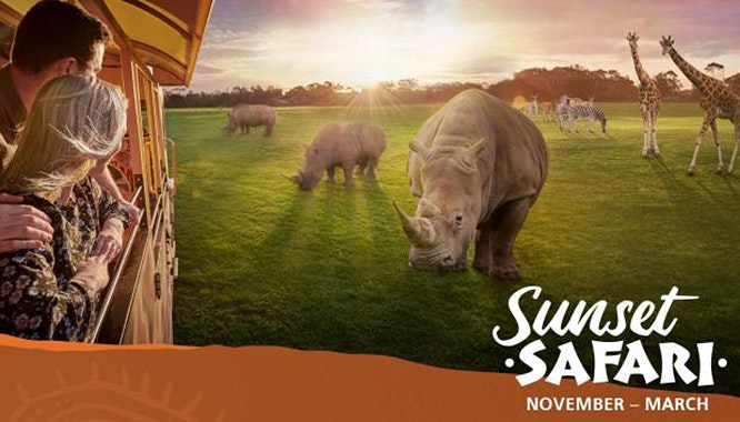 werribee open range zoo 13 jpg