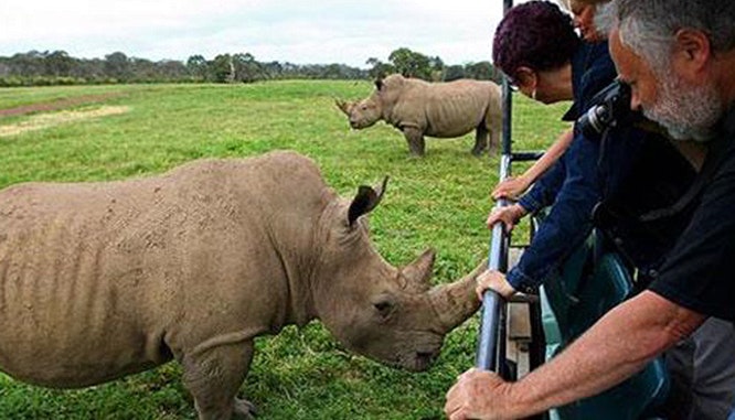 werribee open range zoo 15 jpg