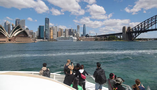 whale watching on fantasea avalon9