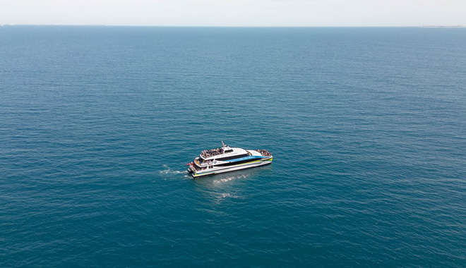 whale watching perth 009