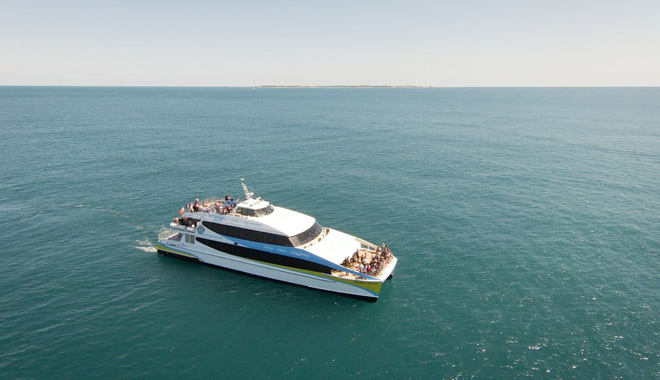 whale watching perth 055