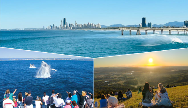 whales sunset thespit