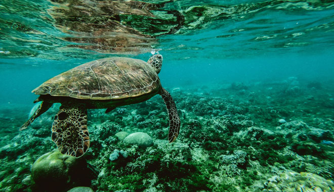 whitsunday explorer 2 night cruise depart from coral sea marina5