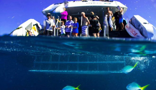 whitsunday explorer 2 night cruise depart from coral sea marina7