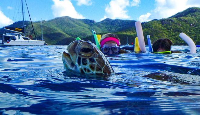 whitsunday islands sail sup snorkel day tour4