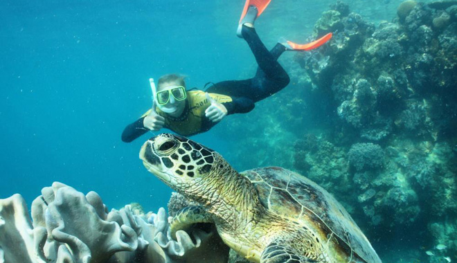 whitsunday islands sail sup snorkel day tour5