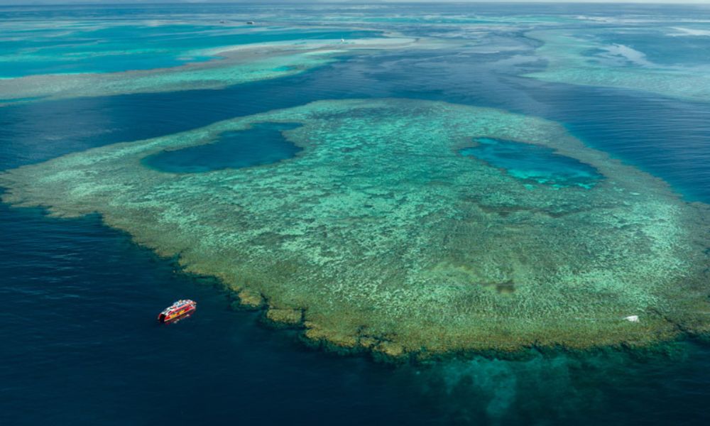 wild cat 3 Outer Great Barrier Reef Snorkel Adventure From Airlie Beach