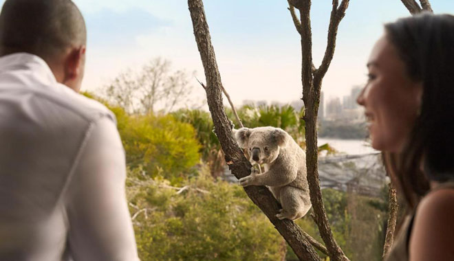 wildlife retreat at taronga5