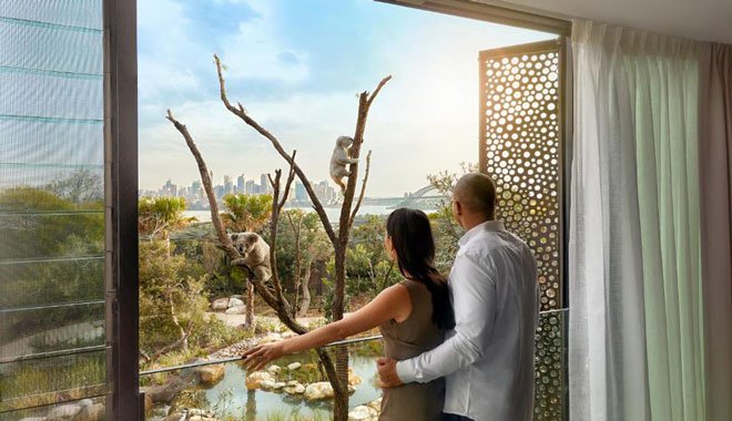 wildlife retreat at taronga6