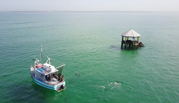 wildlife sightseeing tours on maureen or bluebird11