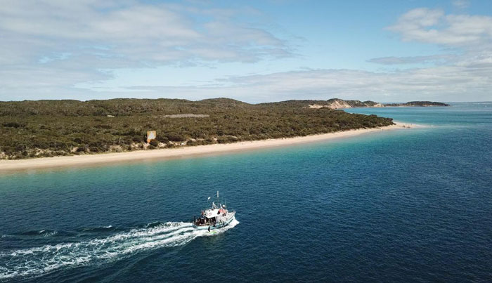 wildlife sightseeing tours on maureen or bluebird12