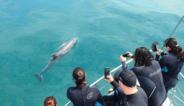 wildlife sightseeing tours on maureen or bluebird8