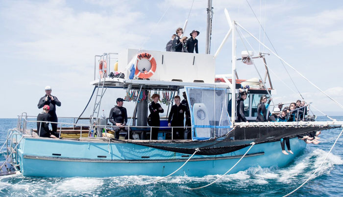 wildlife sightseeing tours on maureen or bluebird9