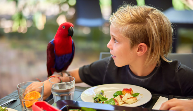 wildlifehabitat Breakfast with bird 001