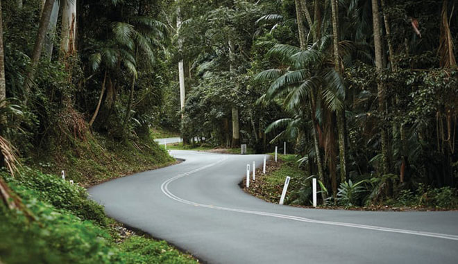 windy road hinterland