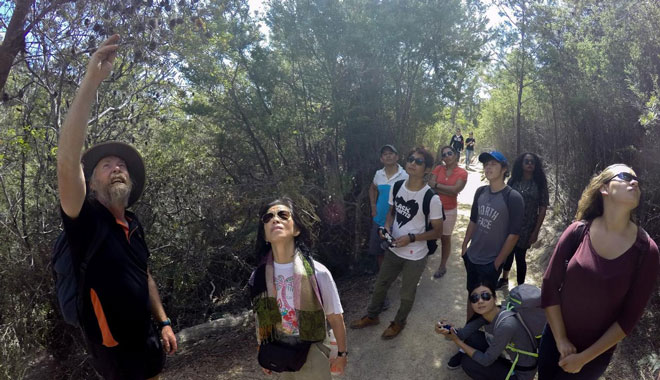 wineglass bay freycinet day tour10