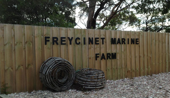 wineglass bay freycinet day tour2