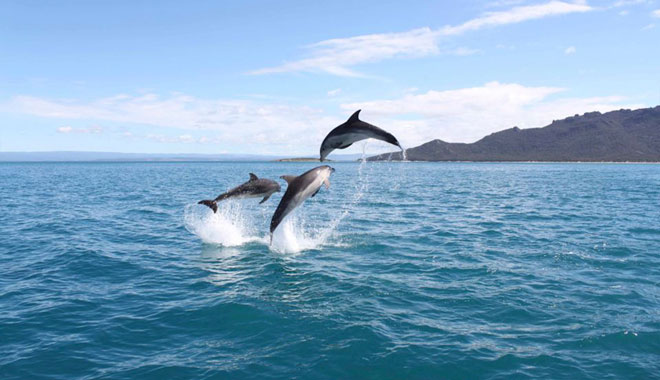 wineglass foreground (1)