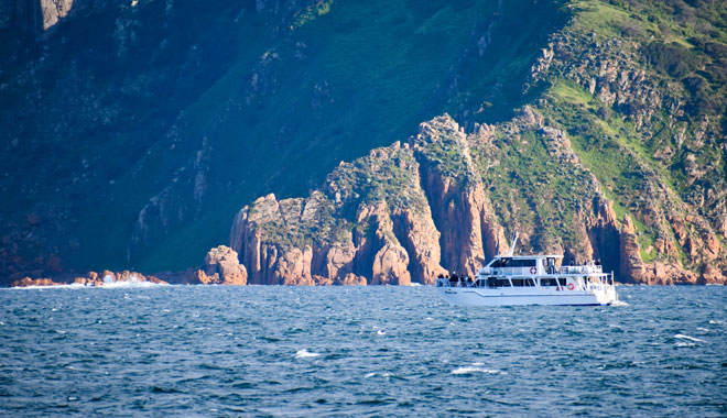 winter cruise wildlife COAST CRUISE 001