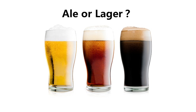xxxx brewery tour 11 jpg