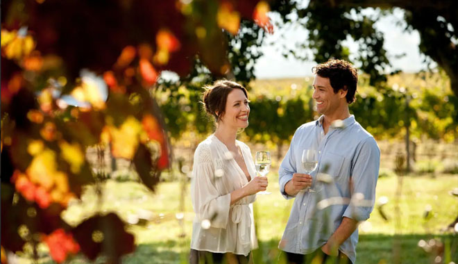 yarra valley wine tasting tours12