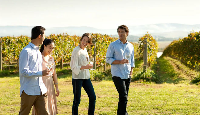 yarra valley wine tasting tours4