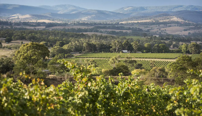 yarra valley wine tasting tours6