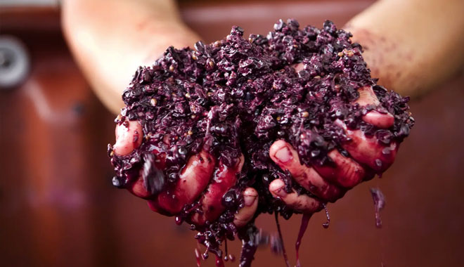 yarra valley wine tasting tours7