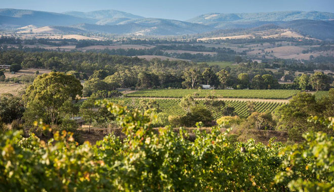 yarra valley1