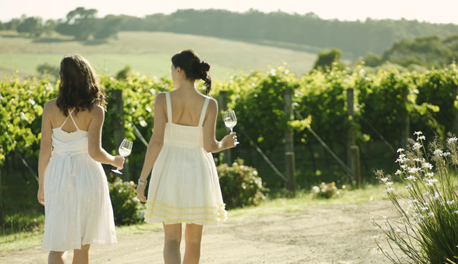 Montalto Vineyard and Olive Grove