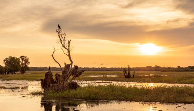 Sunset over the Yellow Water Billabong