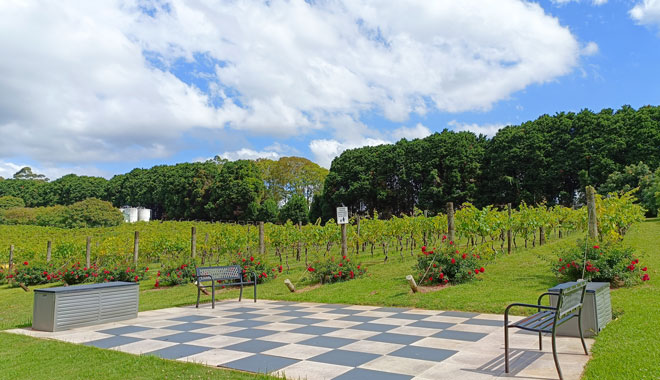 雪松溪酒庄 ceder creek winery